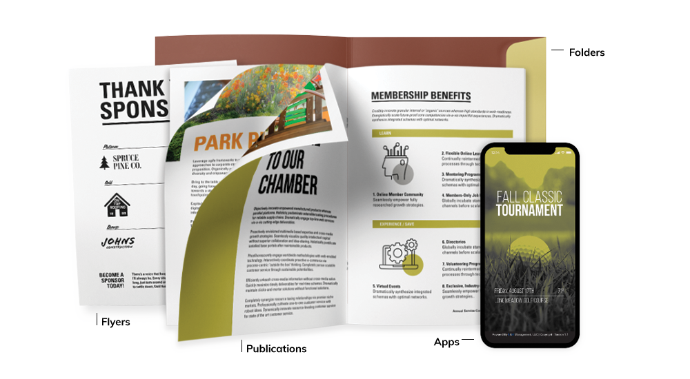 Flyer, magazine publication, phone screen with app, and folder examples of custom solutions